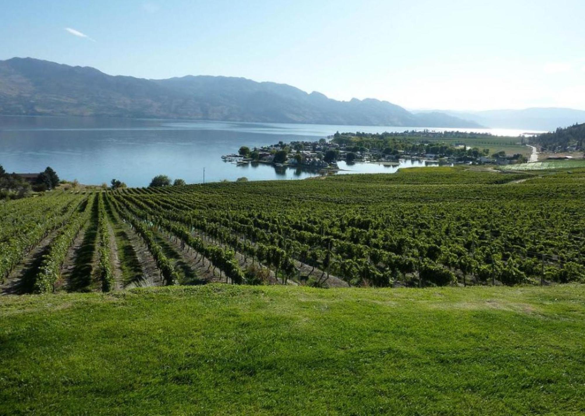& By Ihg Resort Osoyoos